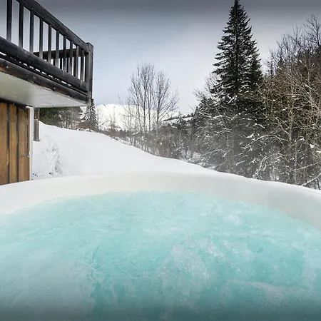 Chalet Le Chevreuil - Ovo Network