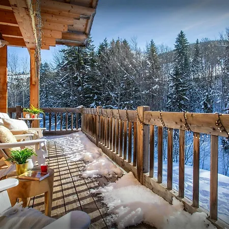 Chalet Le Chevreuil - Ovo Network *